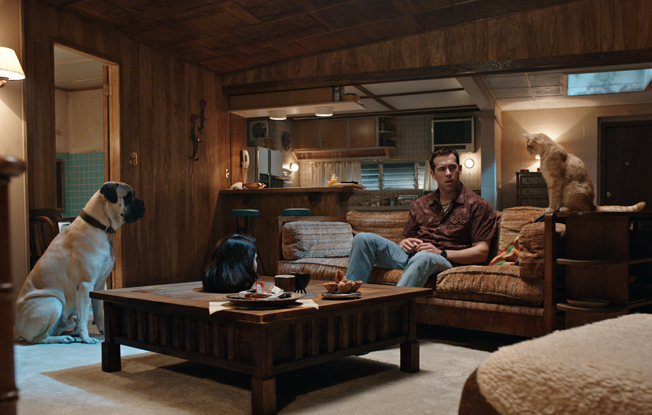Ryan Reynolds in 'The Voices'