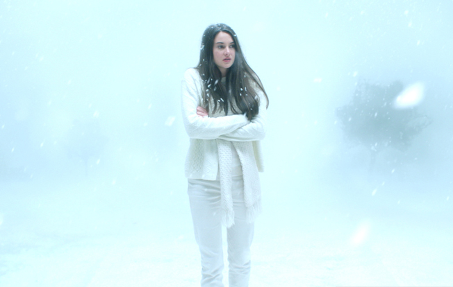 Shailene Woodley in 'White Bird in a Blizzard'