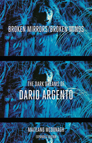 Broken Mirrors/Broken Minds