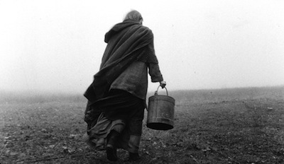 THE TURIN HORSE