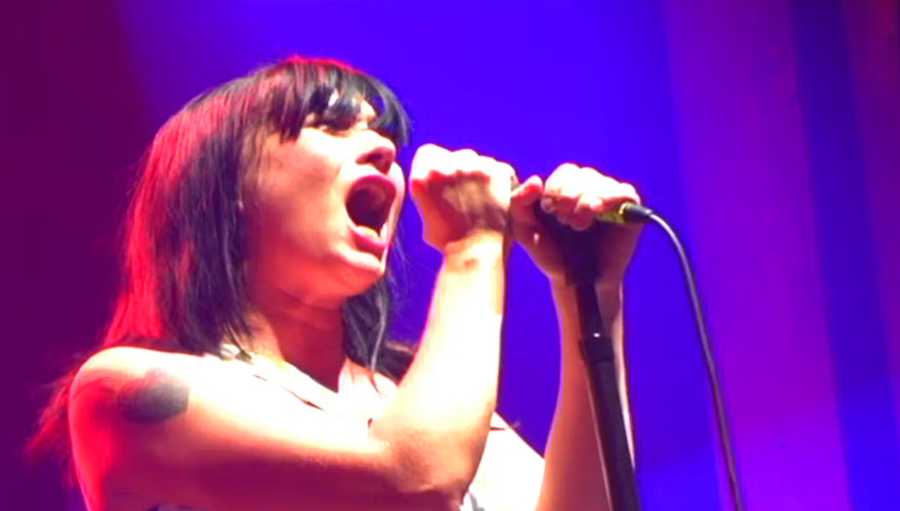 Kathleen Hanna belts one in WHO TOOK THE BOMP? LE TIGRE ON TOUR (2010)